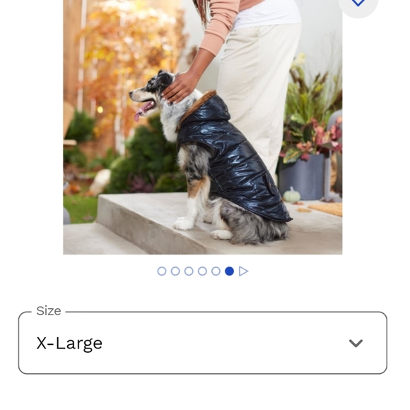 Frisco Glossy Black Insulated Dog Puffer Coat - Picture 9 of 9